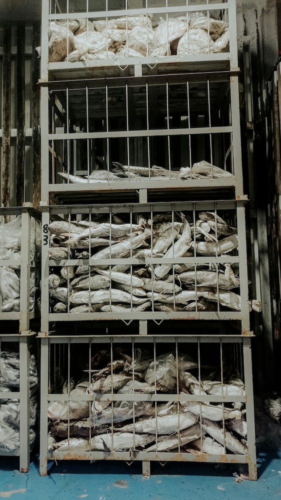 Stacked metal crates of frozen seafood in cold storage