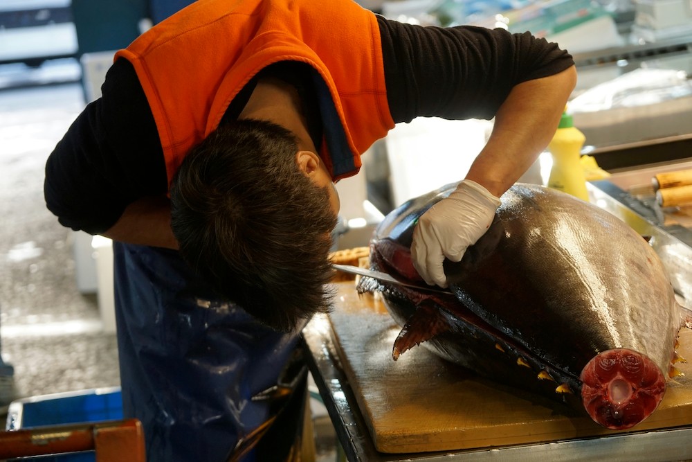 Seafood worker cutting a large tuna on a table